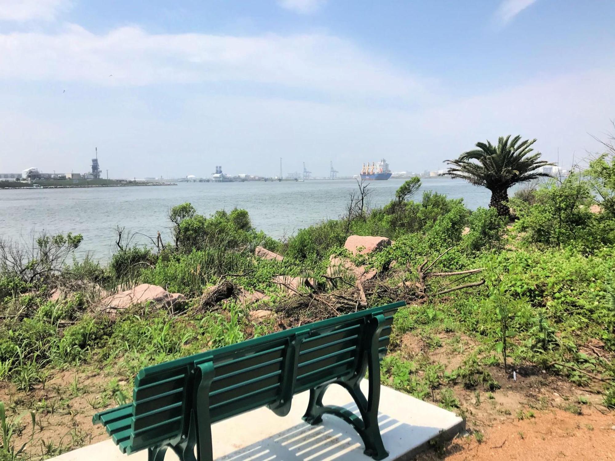 Unobstructed Oceanfront Sea Turtle Unit 2 Beach Pad! سيرفسايد بيتش المظهر الخارجي الصورة