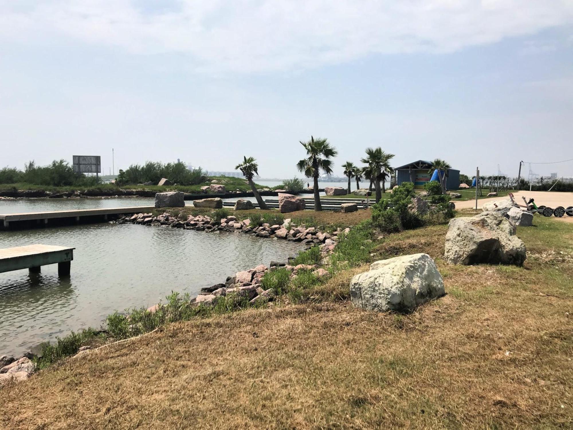 Unobstructed Oceanfront Sea Turtle Unit 2 Beach Pad! سيرفسايد بيتش المظهر الخارجي الصورة